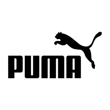 Company Logo 13